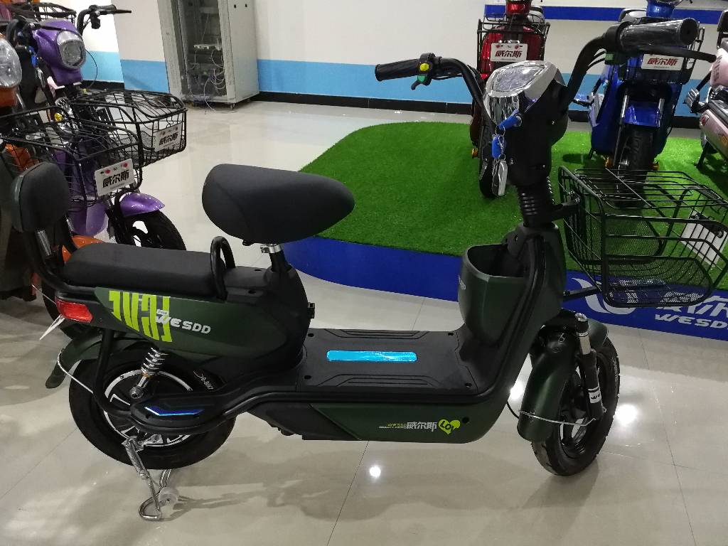 威尔斯电动车5, 天津